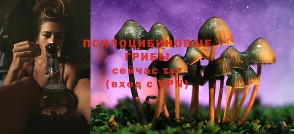 не бодяженный Балахна