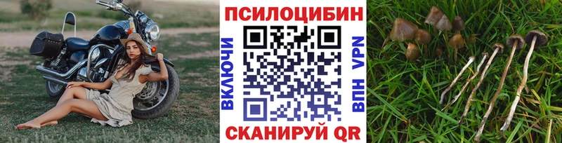 Галлюциногенные грибы мицелий  Щёкино 