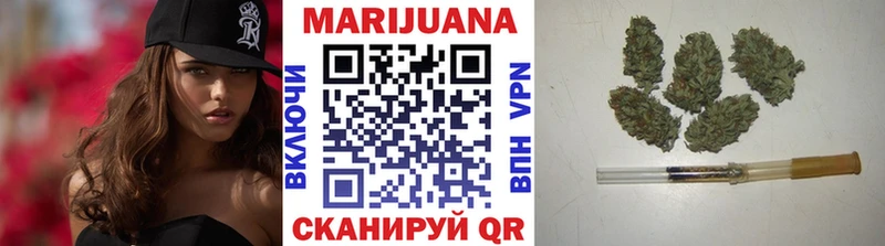 Марихуана сатива  Щёкино 